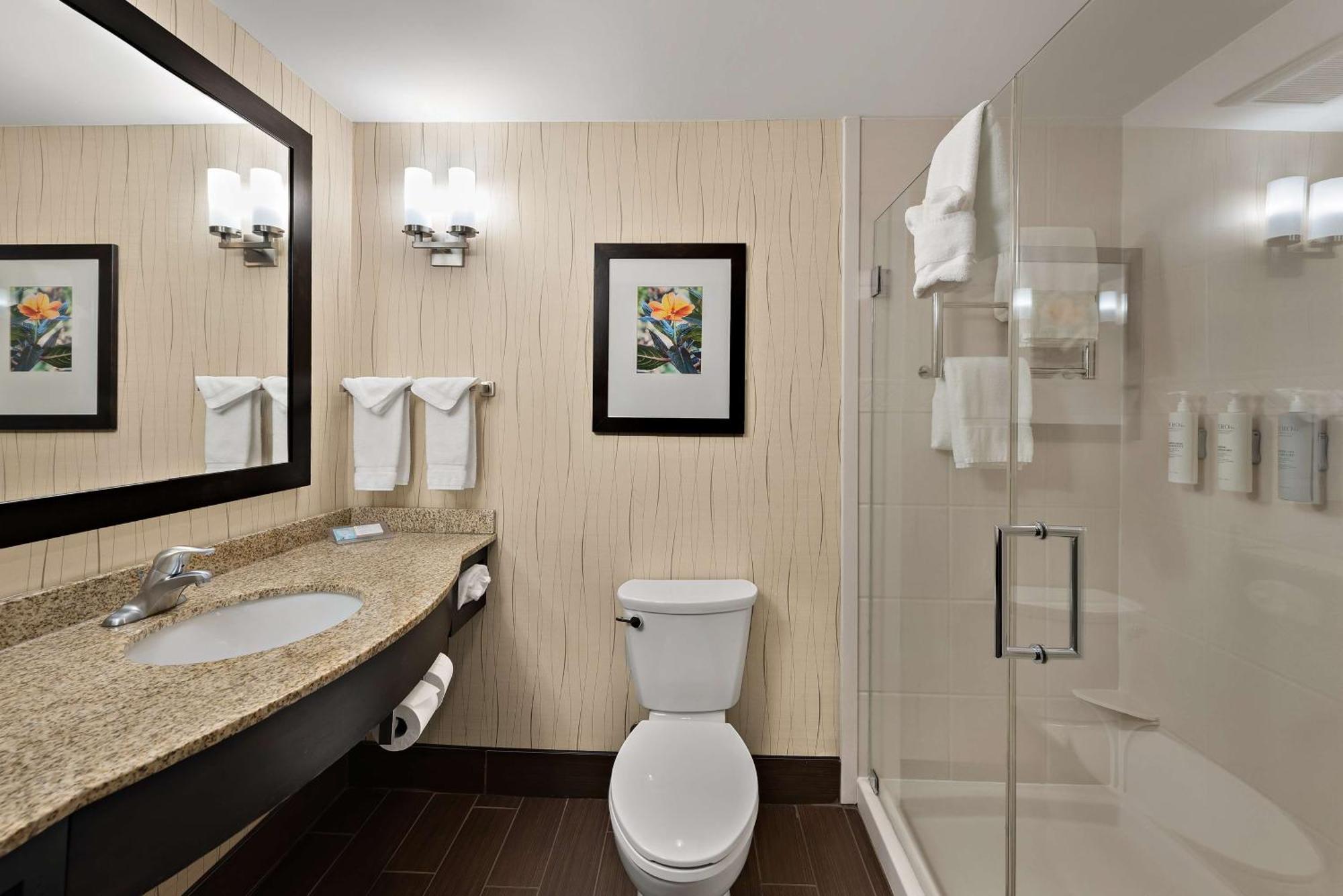Hilton Garden Inn Findlay Εξωτερικό φωτογραφία